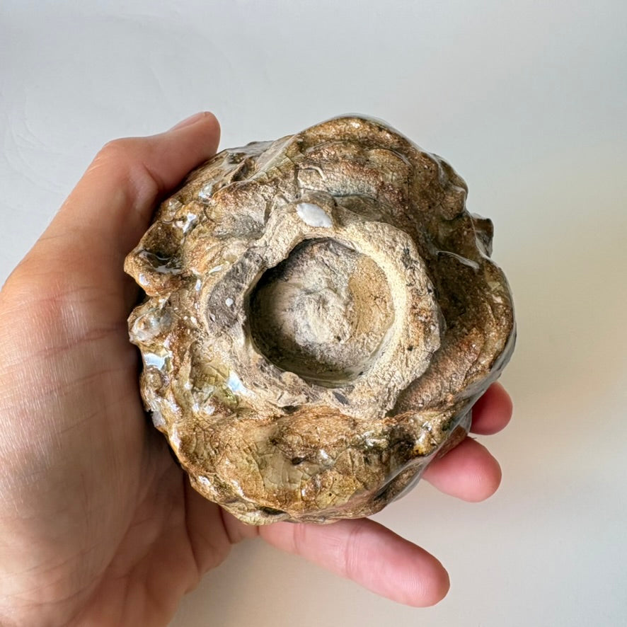 Fossil