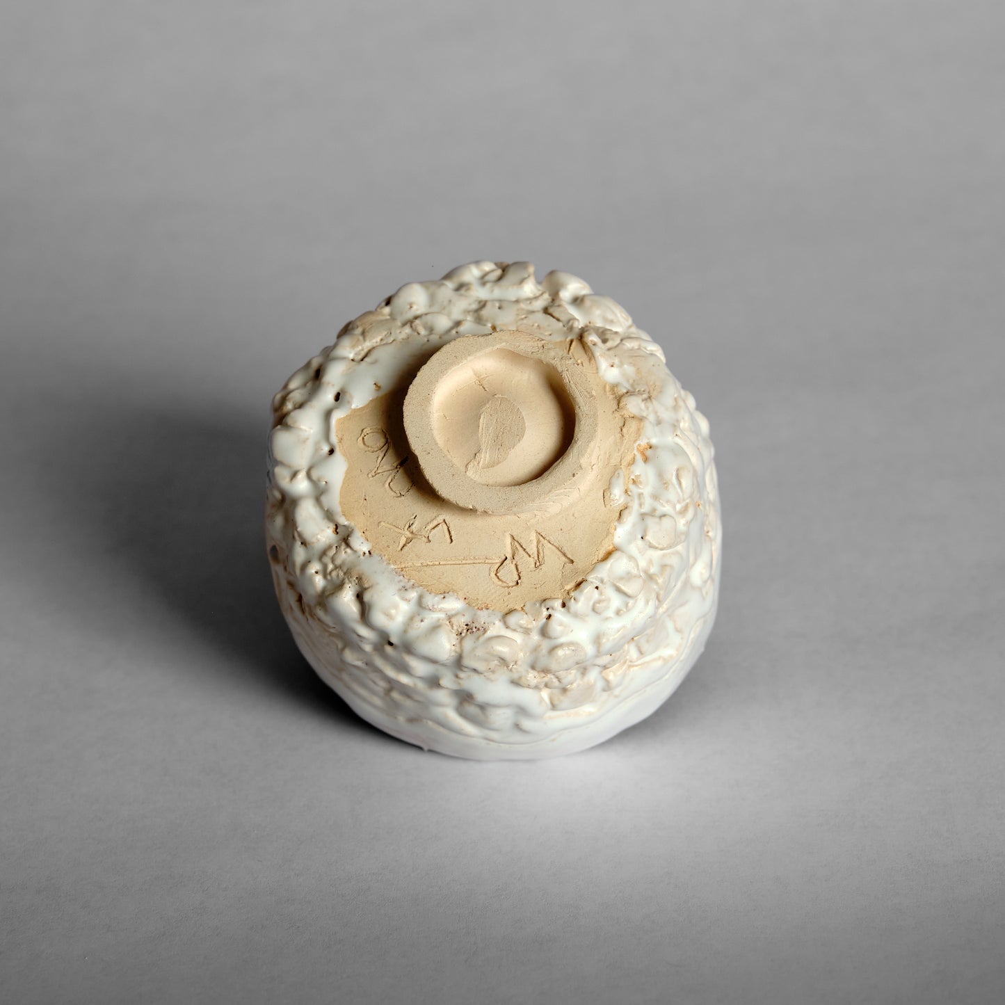 Sounds of a shell