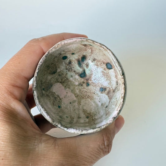 Bird Egg