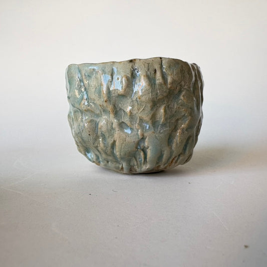 Olive Bark