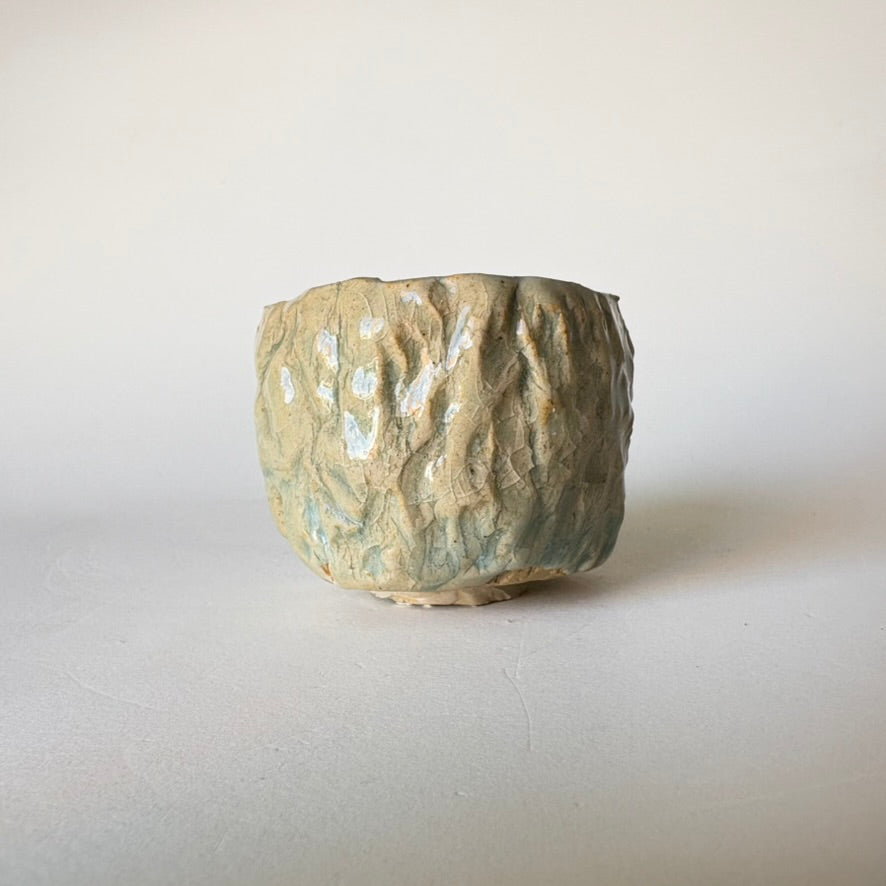 Olive Bark