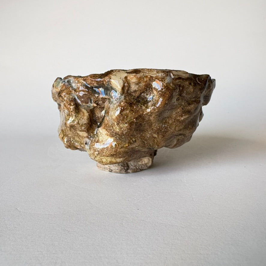 Fossil