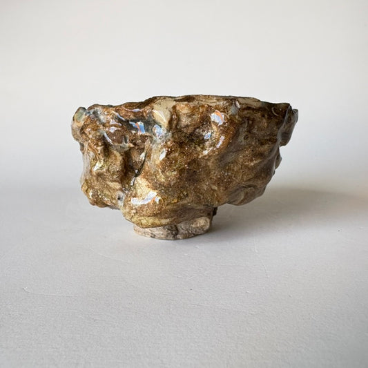 Fossil