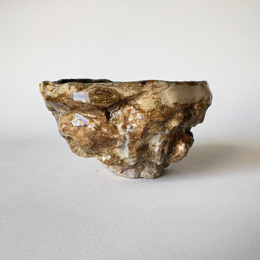 Fossil