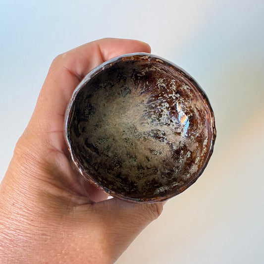 Tortoise Shell