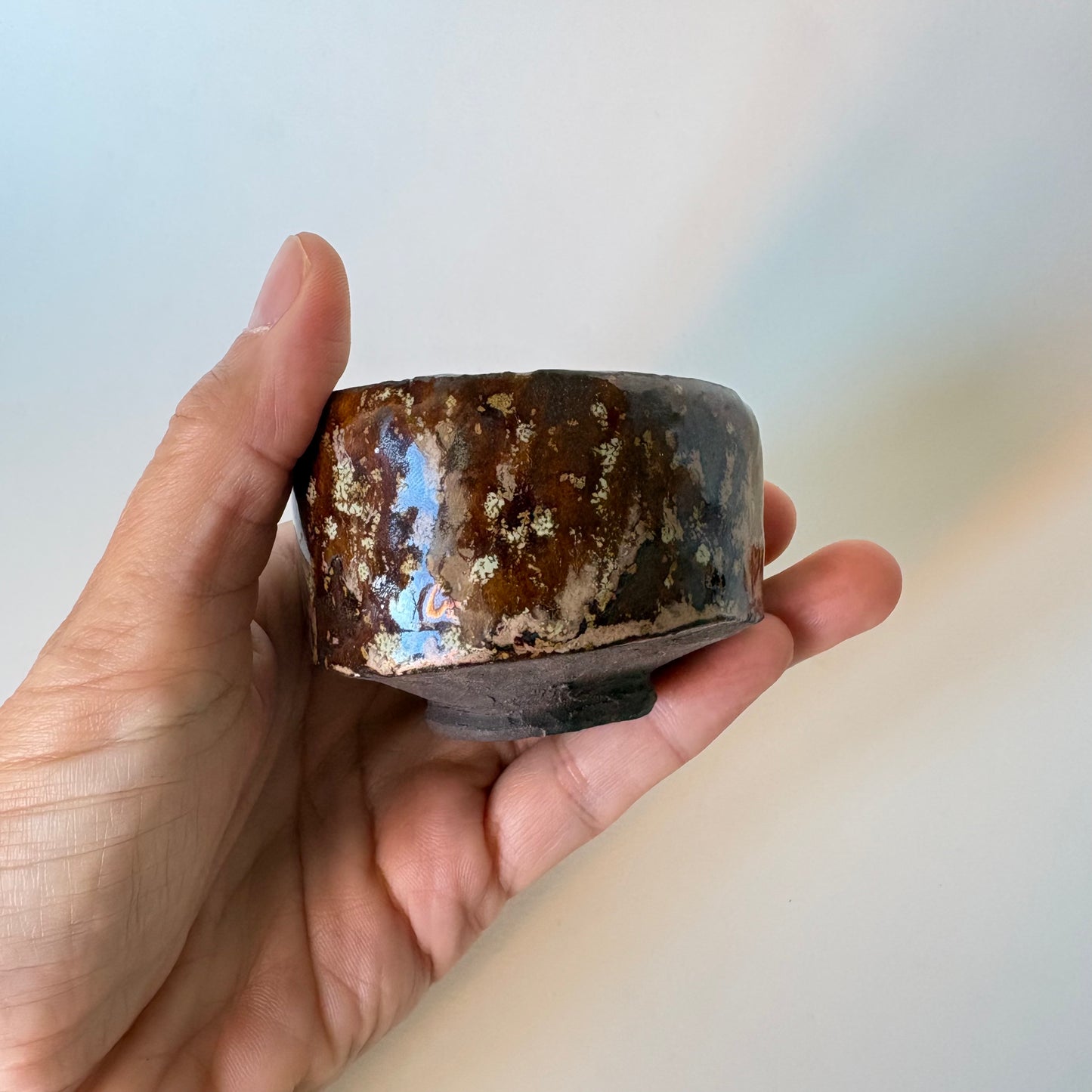 Tortoise Shell